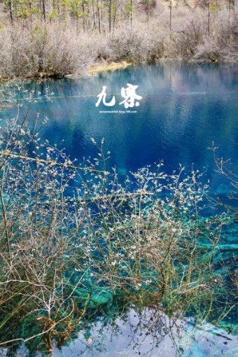 海产大王2中文版
