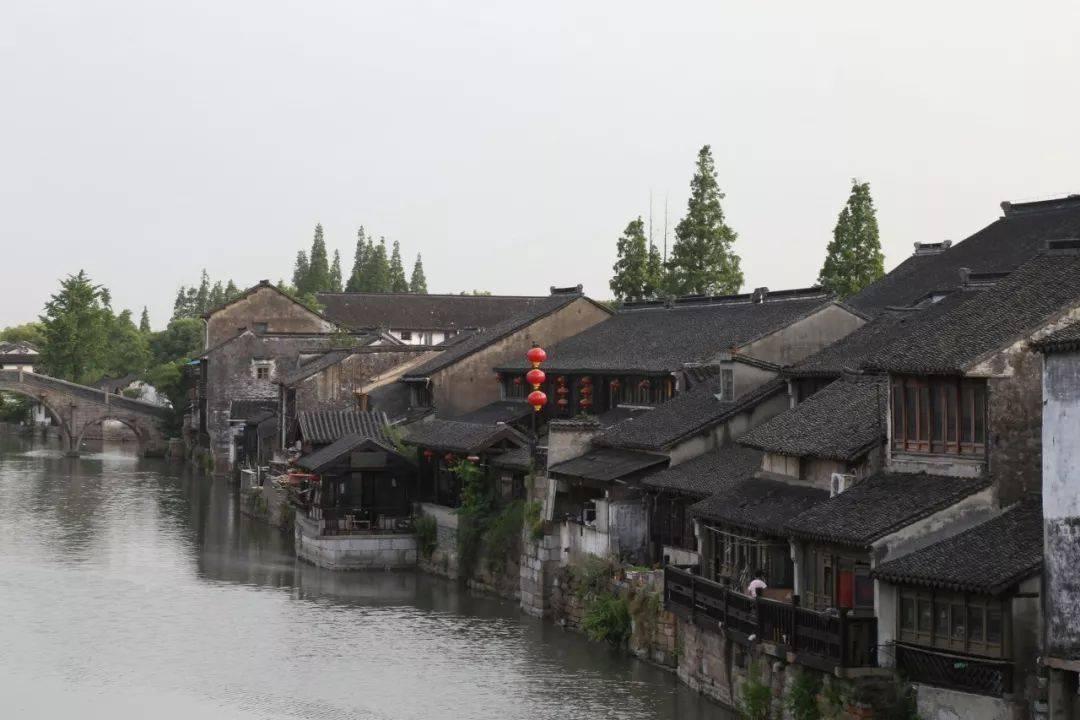 逃离神秘老林